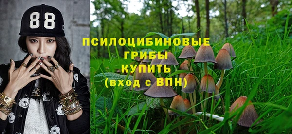 спайс Верея