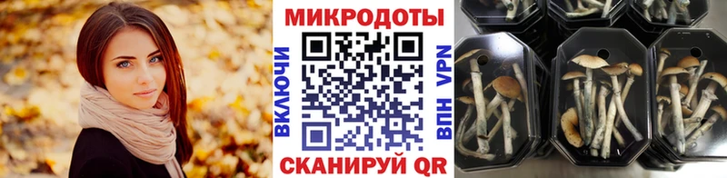 Псилоцибиновые грибы мицелий  Лосино-Петровский 